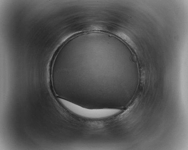 X0000088231031200705292130