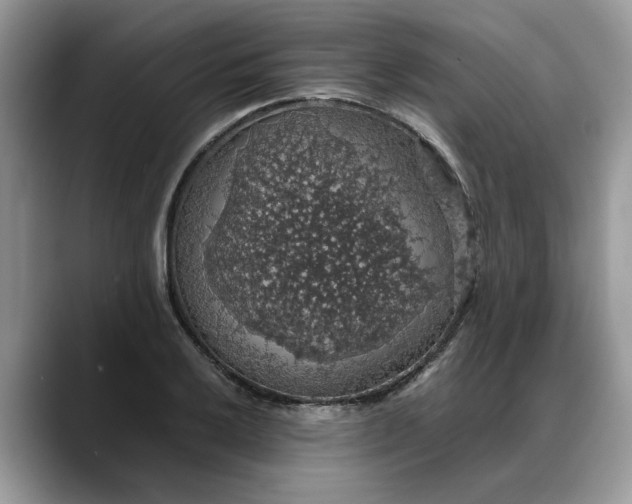 X0000088231032200705292130