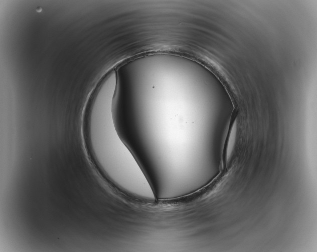 X0000088231034200705292130