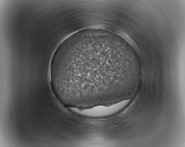 X0000088231036200705292130