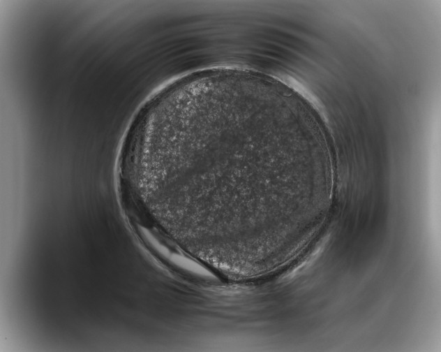 X0000088231037200705292130