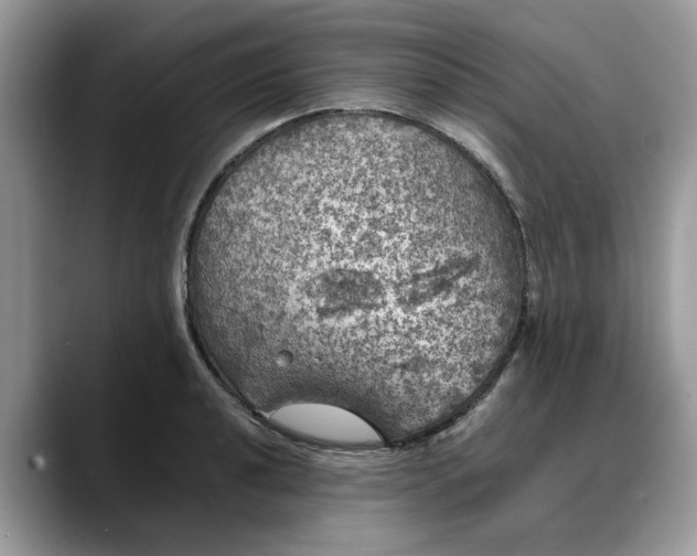 X0000088231040200705292130