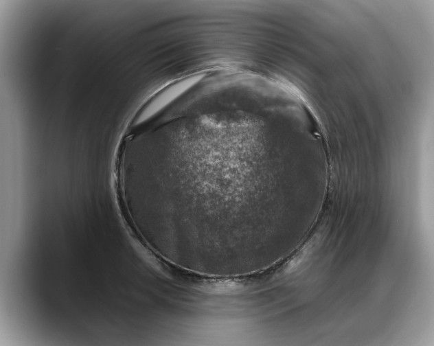 X0000088231042200705292130
