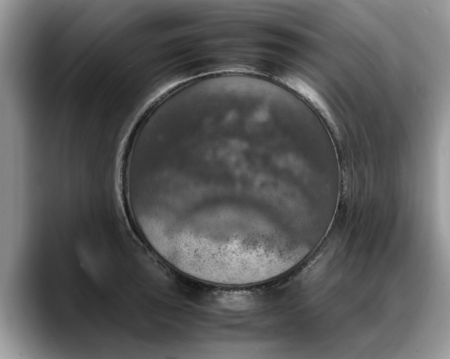 X0000088231043200705292130