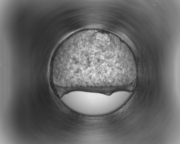 X0000088231044200705292130