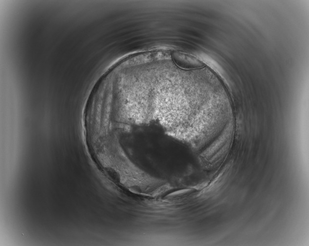 X0000088231047200705292130