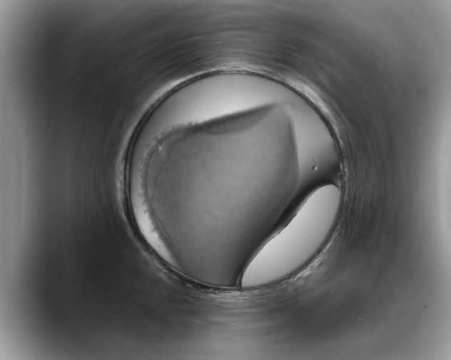 X0000088231048200705292130