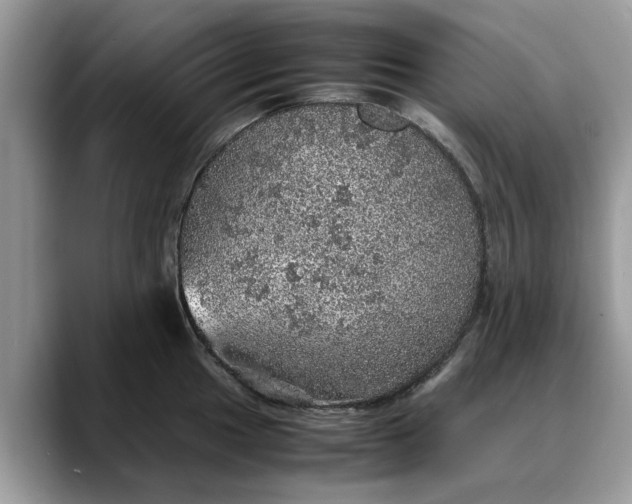 X0000088231049200705292130