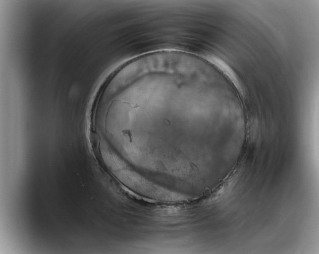 X0000088231051200705292130