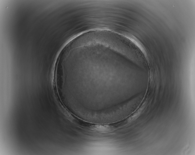 X0000088231052200705292130