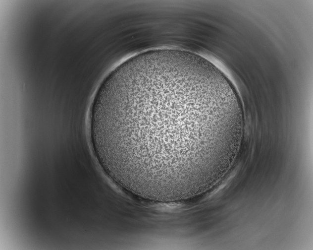 X0000088231053200705292130