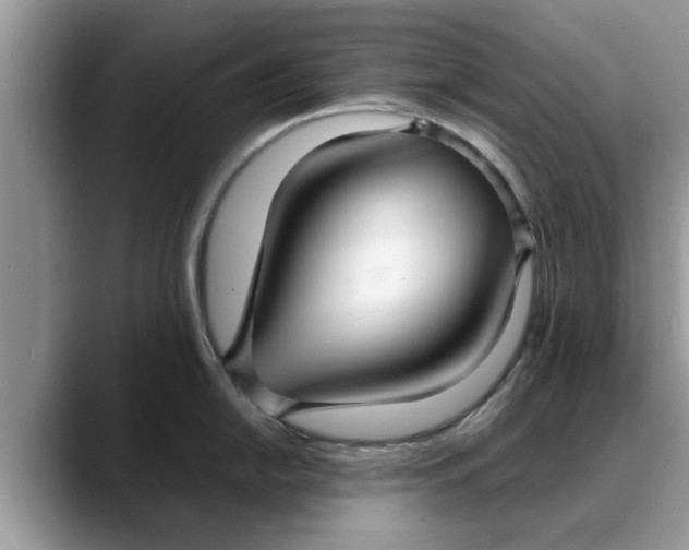 X0000088231054200705292130