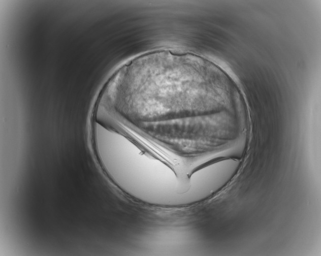 X0000088231056200705292130