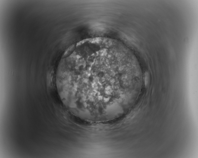 X0000088231059200705292129