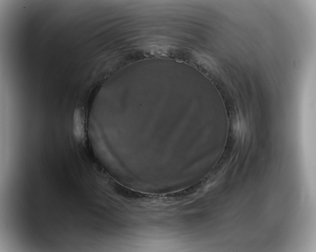 X0000088231060200705292129