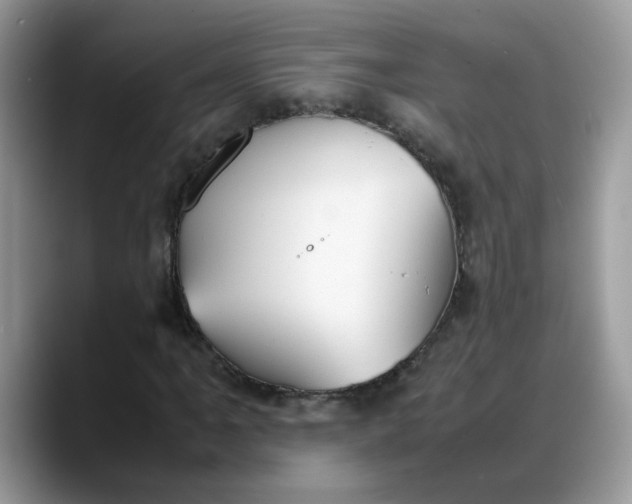 X0000088231061200705292129