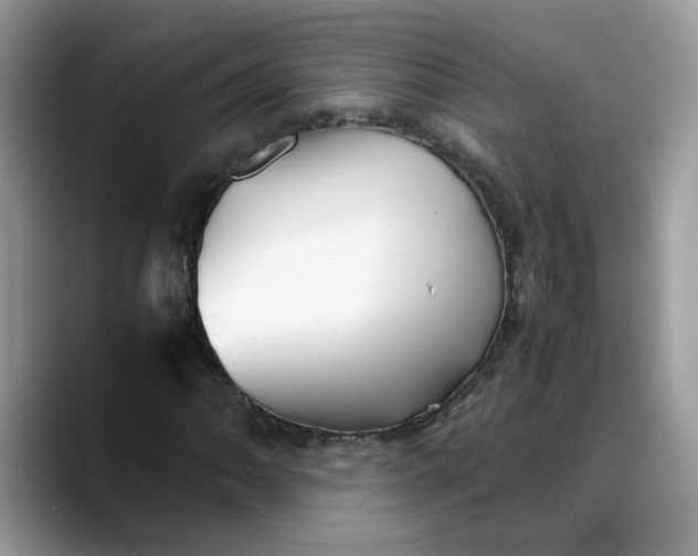 X0000088231062200705292129