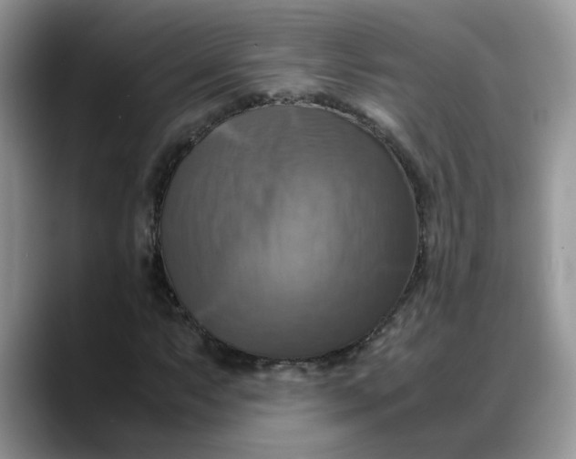 X0000088231063200705292129