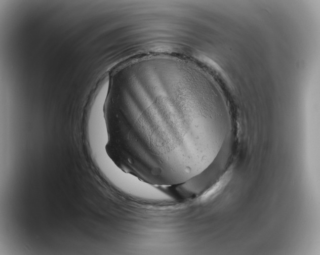 X0000088231065200705292129