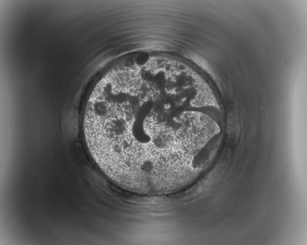 X0000088231067200705292129