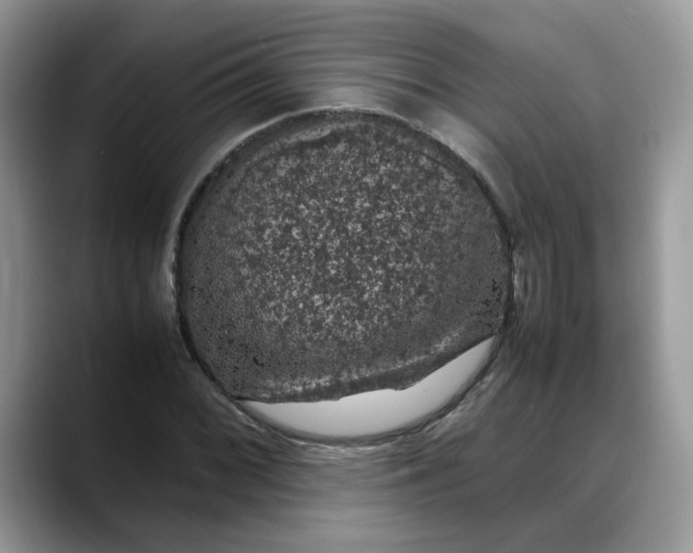 X0000088231068200705292129
