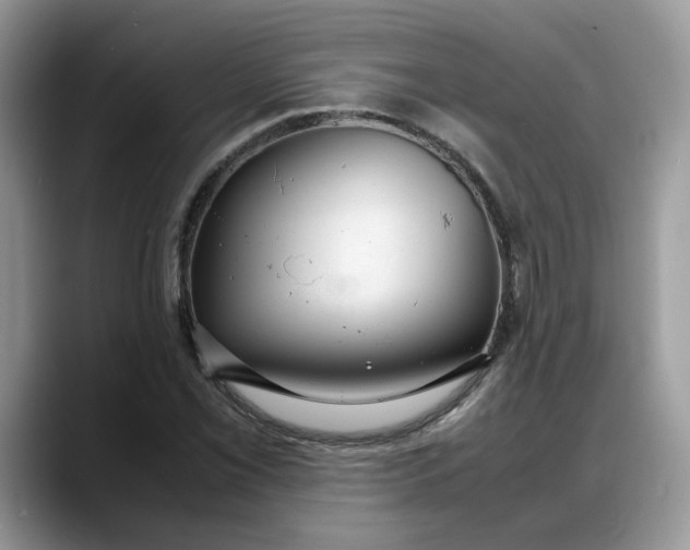 X0000088231069200705292129