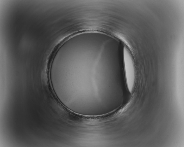 X0000088231071200705292129