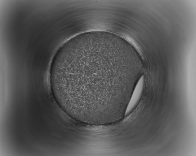 X0000088231072200705292129