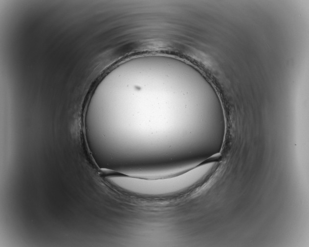 X0000088231073200705292129