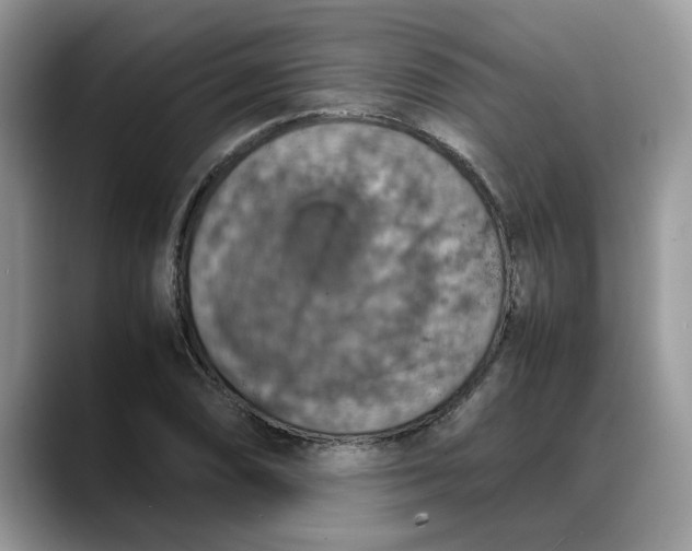 X0000088231074200705292129