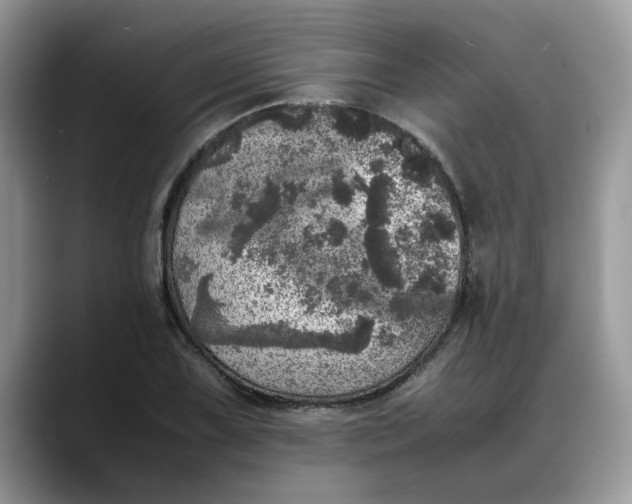 X0000088231075200705292129