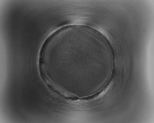 X0000088231077200705292129