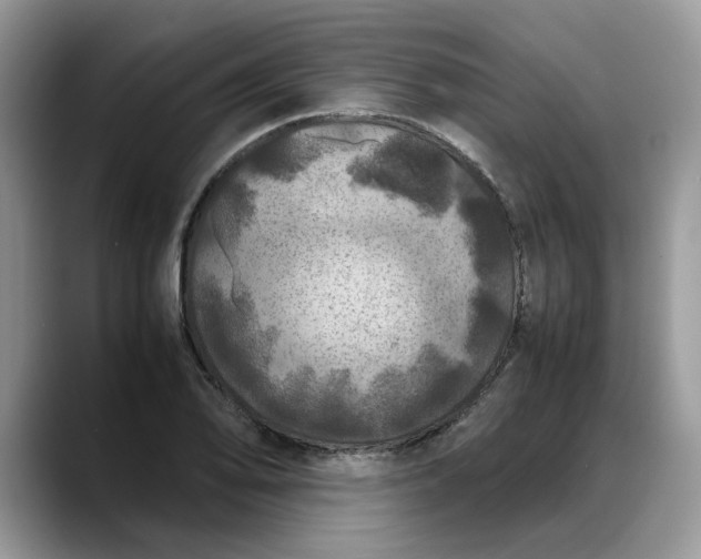 X0000088231078200705292129