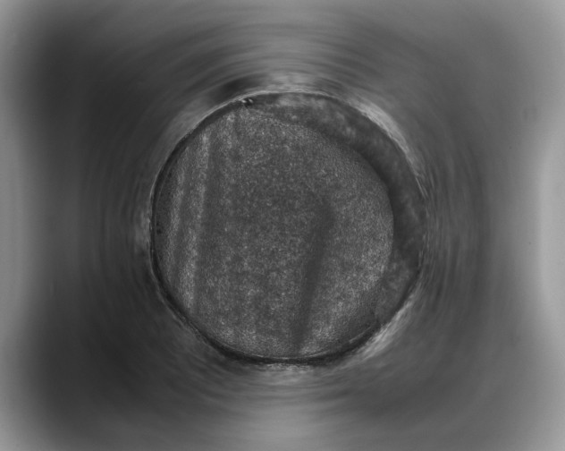 X0000088231081200705292129