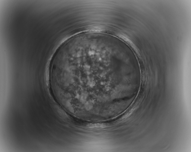 X0000088231083200705292129
