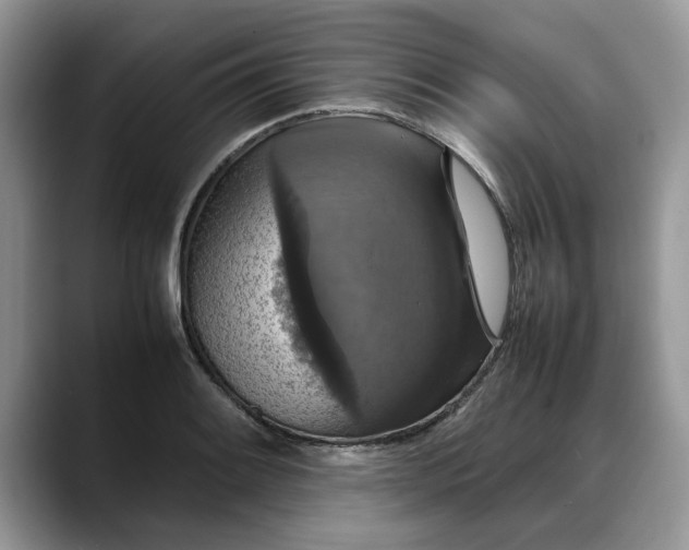 X0000088231084200705292129