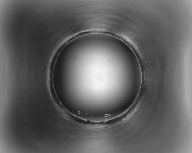 X0000088231085200705292129