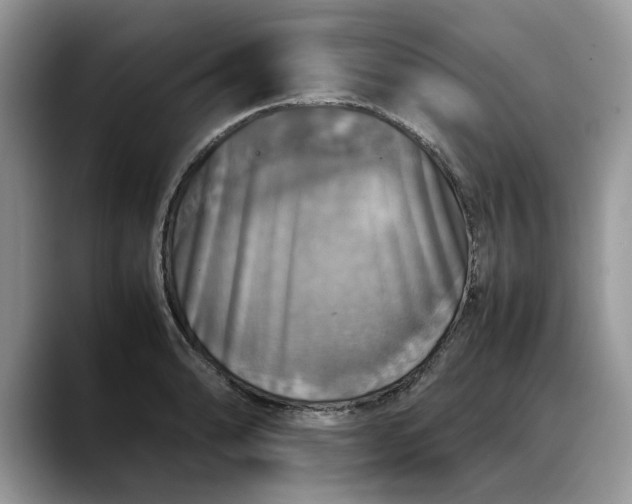 X0000088231086200705292129