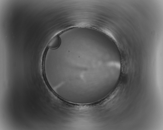 X0000088231087200705292129