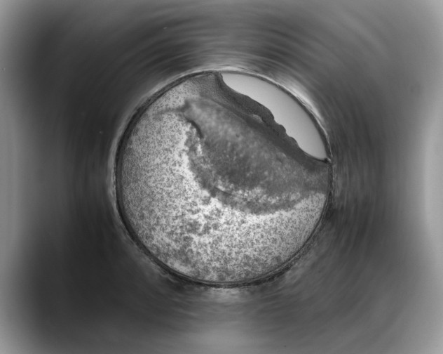 X0000088231088200705292129