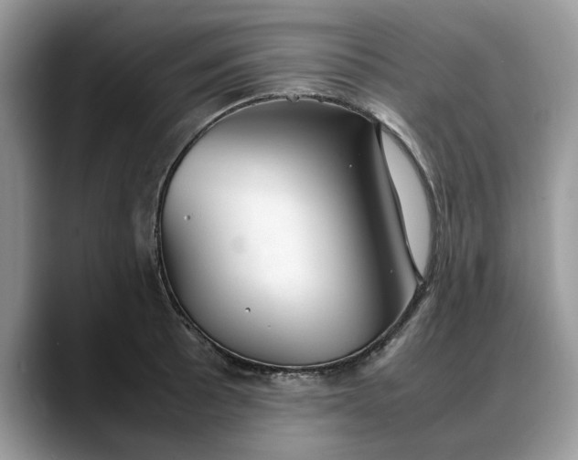 X0000088231089200705292129