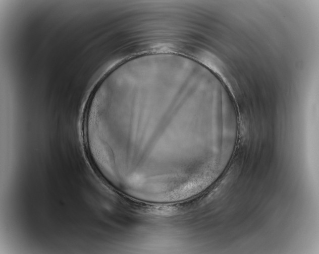 X0000088231090200705292129