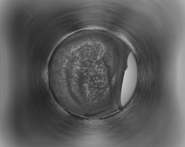 X0000088231092200705292129