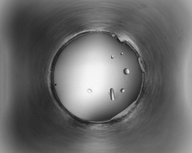 X0000088231093200705292129