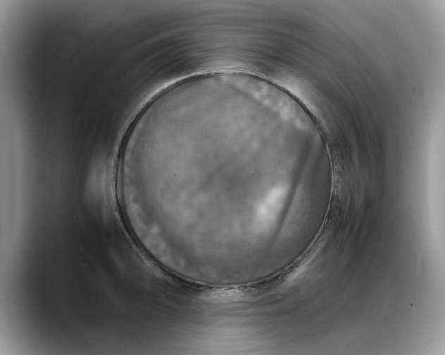 X0000088231094200705292129
