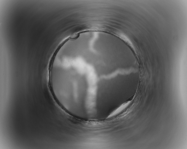 X0000088231095200705292129