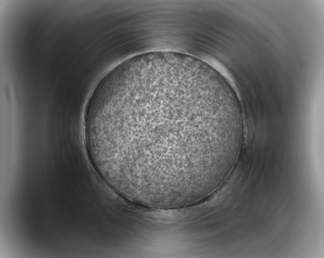 X0000088231096200705292129