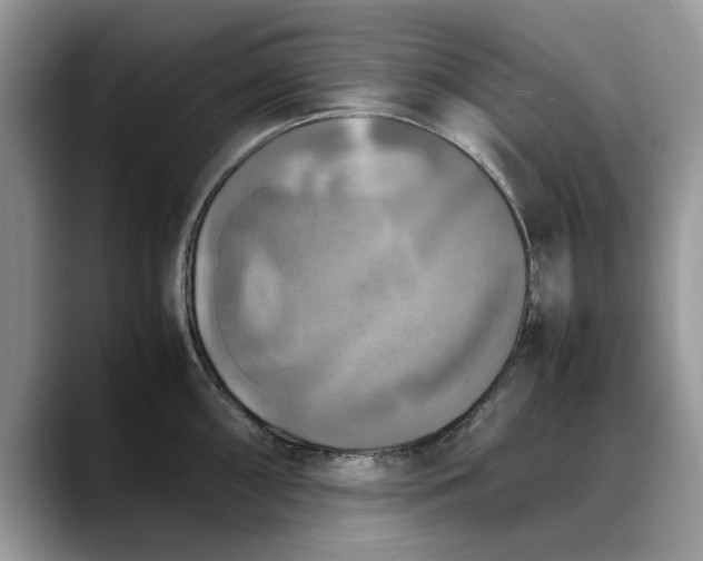 X0000088231098200705292129
