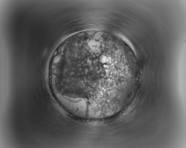 X0000088231099200705292129