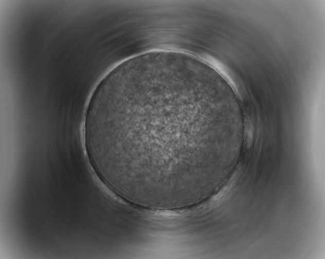X0000088231100200705292129